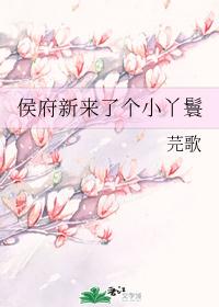 侯府新来了个小丫鬟