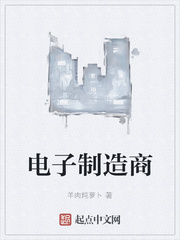 电子制造商