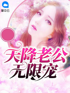 天降老公无限宠