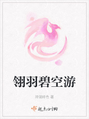 翎羽碧空游