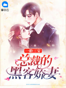 苏小暖楚寒