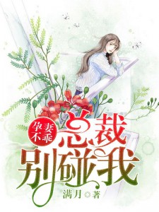 孕妻不乖：总裁别碰我