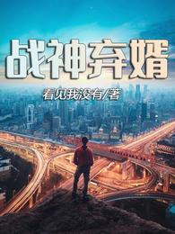 战神弃婿