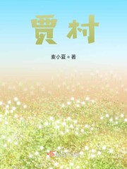 贾村