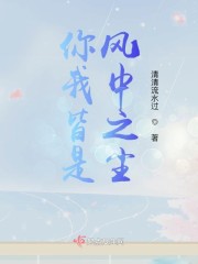 你我皆是风中之尘