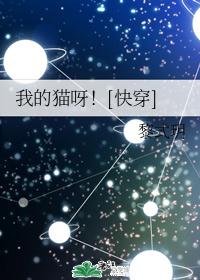 我的猫呀！[快穿]