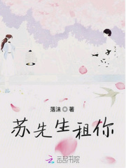 苏先生租你