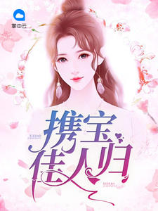 携宝佳人归柠檬呀